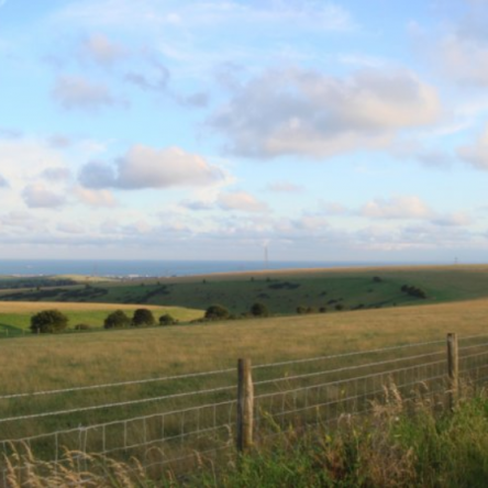 Sussex countryside